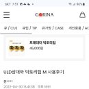 빅토리코리아 | [공유] ULD 상대와 빅토리팁M 사용 후기