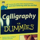 영문 캘리그래피 교본 리뷰 (16) : Callgraphy for Dummies 이미지