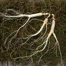 바로유한의원 이미지