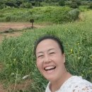 비앤알제주 이미지
