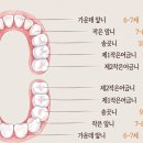 이루다소아치과의원 이미지