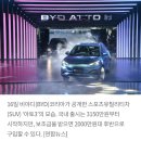 중국 전기차 &#34;BYD&#34;, 한국 출시~! 이미지