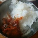 제주도야지판 이미지