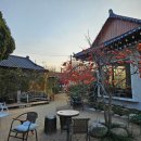 경주감성숙소 우드인스테이 애플방, 두리안방 비교! 내돈내산 솔직후기입니다