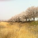 고향의봄길 이미지