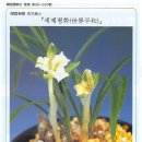 소심