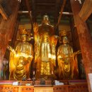 일범식당 | 완주 송광사와 김제 금산사 단풍