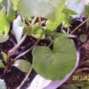 여난농장 이미지