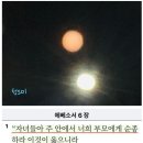 제일사랑 이미지