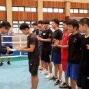 한국체대 복싱 이미지