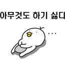 바비살롱 이미지