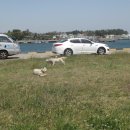 위미1리 이미지