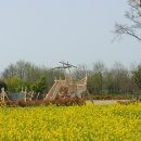 황룡친수공원 네이버블로그