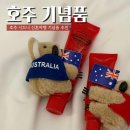 신호등약국 | [호주] 시드니 기념품 쇼핑 리스트 한 장 정리(기념품샵, 선물 추천) 신호등 키링도 삼!