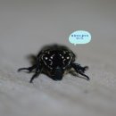 우화농장 이미지