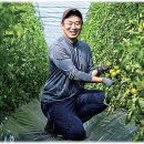 대저농협유통센터(APC) 이미지