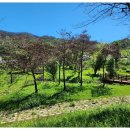 파천면사무소 이미지