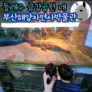 동래구 아이와 가볼만한 곳 부산해양자연사박물관 기획전시 노릇노릇부산
