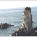 올래오늘또 이미지