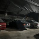 정글팩토리 이미지