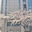 중흥샘이깊은작은도서관 | 우리에게 비밀은 더 깊은 애정이 아닐는지