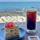 커피살롱 | 부산 해운대 청사포 오션뷰 카페 오브커피살롱 후기