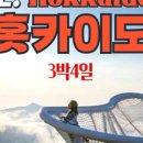 써치백투어 이미지