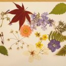 압화만들기 이미지