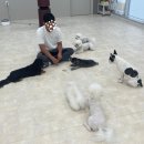 눈보뛰 프리미엄 이미지