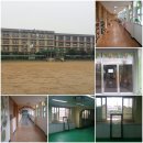 상지초교병설유치원 이미지