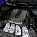 오토엘리펀트 이미지