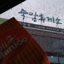 배씨농장 이미지