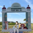 리얼플랜제주 | 제주 신화월드 서머셋 패밀리 온돌 후기 부모님도 만족한 가족여행 숙소 수영장 조식 가격 총정리