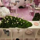 더현대 대구 팝업 <b>오오아</b>포터리