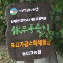 休무풍승지 Daum카페