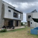 신트라움 이미지