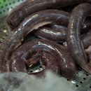 광명전통시장 이미지