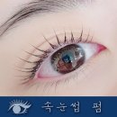 김은경속눈썹