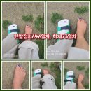 생활한지 이미지