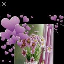 이가분실 이미지