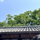 [용인] 18개월 아기랑 ‘한국민속촌’ 내돈내산 방문후기!