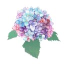 선단꿈나무어린이집 이미지