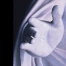 철한기업 | 예수그리스도후기성도교회 새로운 십이사도 발표~!!