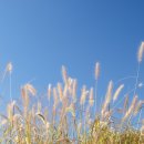 선유공원 이미지