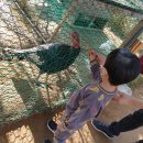 나눔염소농장 이미지