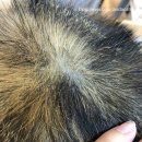 잔다냥 강동점 이미지