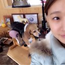 최재호 한방동물병원 이미지