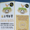 SBS동영상 이미지