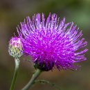 호텔스테이 이미지