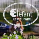 Elefant(엘레판트)